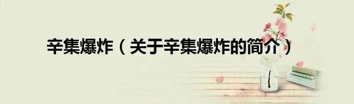辛集爆炸（关于辛集爆炸的简介）