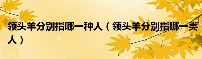 领头羊分别指哪一种人（领头羊分别指哪一类人）