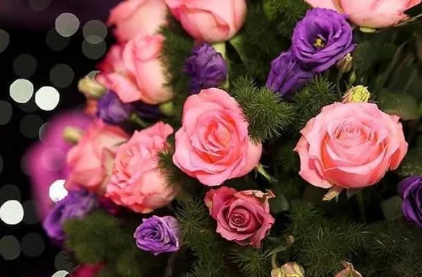 刘子光小说 5678全文免费阅读