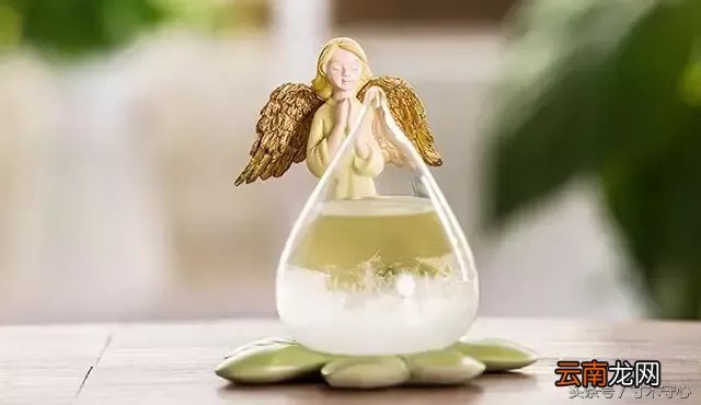 看这个神器的预言小工具！ 预言小帮手