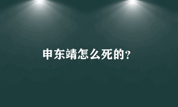 申东靖怎么死的？