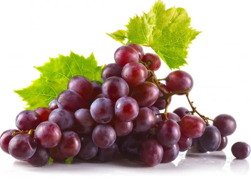 美白食物有哪些