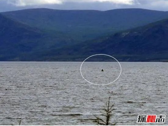 广东水怪之谜，湛江湖光岩惊现数十条巨型生物(疑似巨龙)