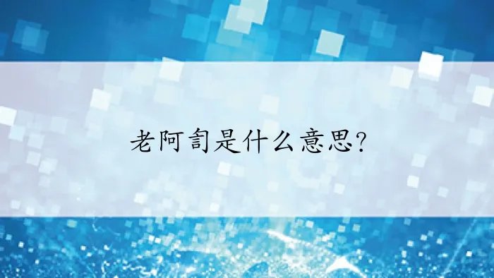 老阿訇是什么意思？