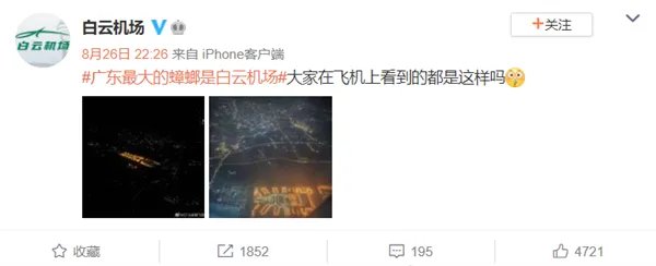 网友称广东最大的蟑螂是白云机场 官方亲自下场认领