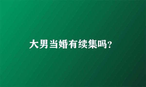 大男当婚有续集吗？