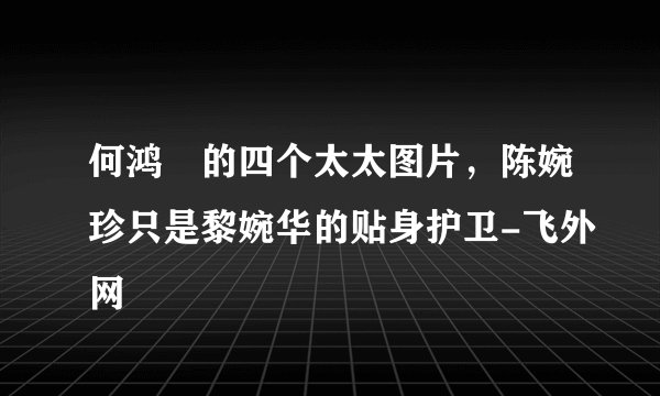 何鸿燊的四个太太图片，陈婉珍只是黎婉华的贴身护卫-飞外网