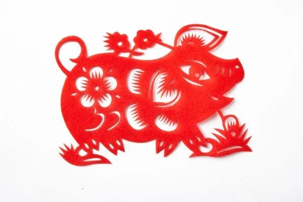 2019年的生肖是什么 2019年的生肖是什么动物