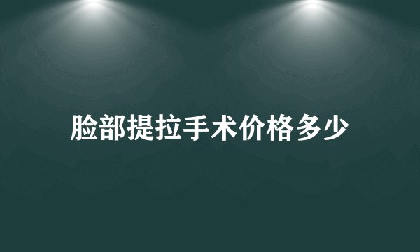 脸部提拉手术价格多少