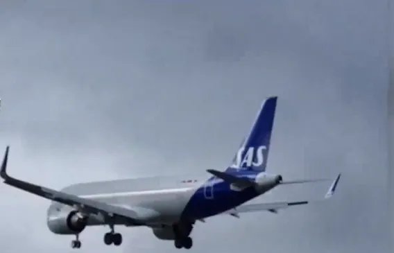 海鸥被吸入挪威客机瞬间蒸发！只剩一阵烟和羽毛