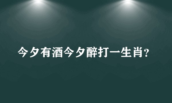今夕有酒今夕醉打一生肖？