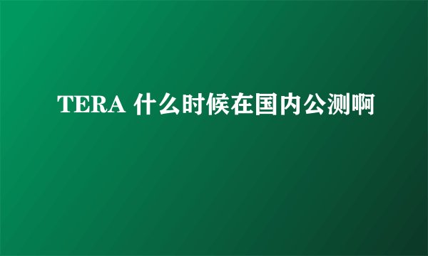 TERA 什么时候在国内公测啊