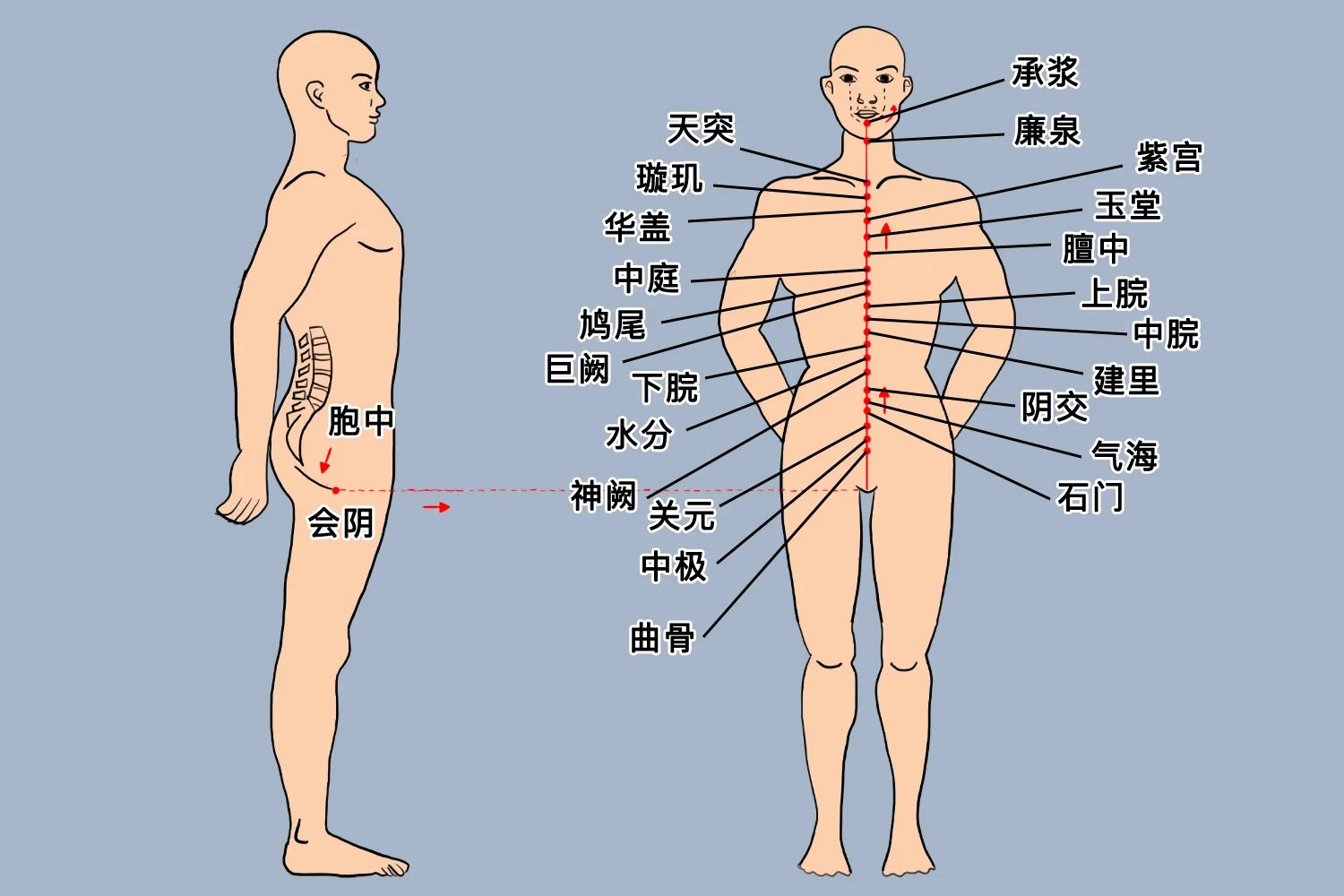 女性任督二脉的准确位置图