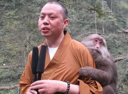 延参法师是哪里人：这个和尚为何这么红？ 