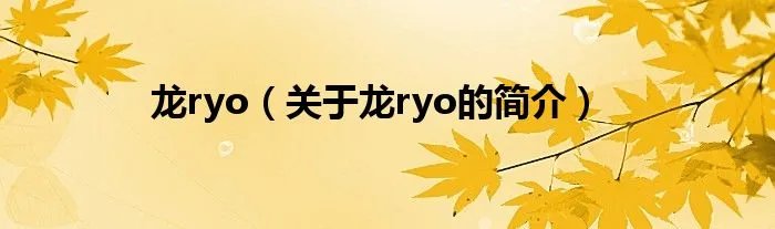 龙ryo（关于龙ryo的简介）