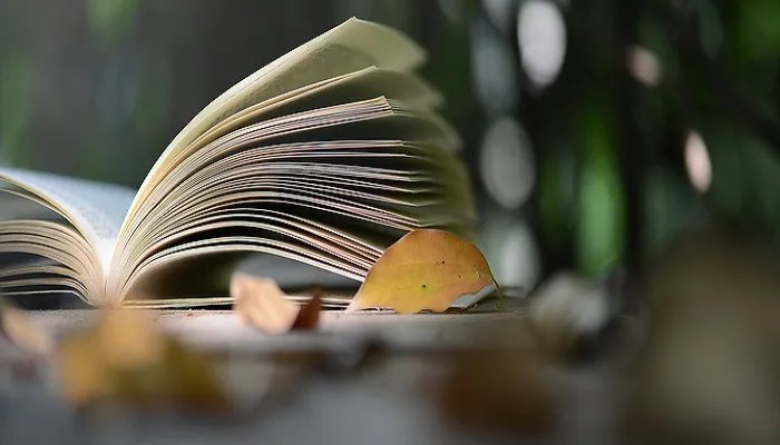 巴黎圣母院简介概括内容 巴黎圣母院情节概括