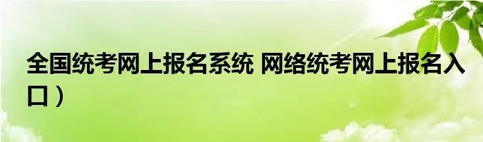 全国统考网上报名系统 网络统考网上报名入口）