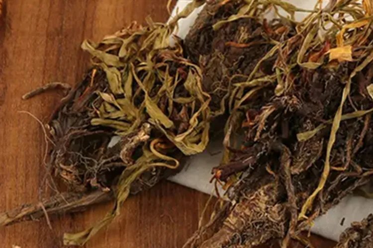 香毛草图片功效与作用