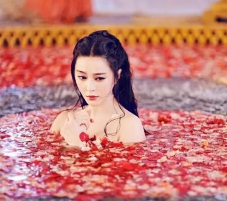 武媚娘传奇停播疑因尺度大 揭秘事情真相