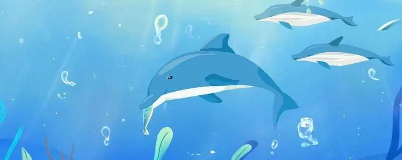 12个字的网名大全 十二个字经典网名