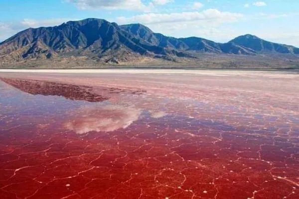 这是一个会变色的咸水湖，为何常饮此湖湖水会中毒失明？