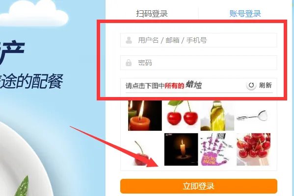 123606火车票官网订票