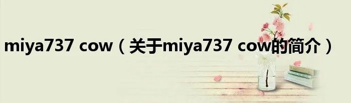 miya737 cow（关于miya737 cow的简介）