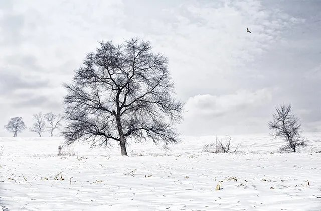 严寒是什么？严寒和寒冷地区的划分 我国气候如何分区