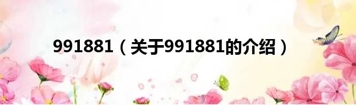 991881（关于991881的介绍）