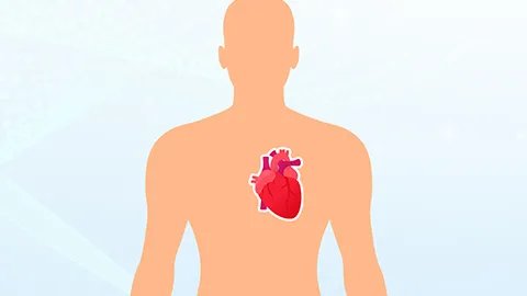 维生素k3的作用