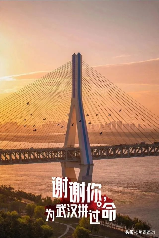 李文亮医生有关情况调查的通报终于出来了。你怎么看？