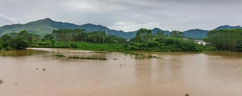 一网民辱骂河南人民被拘10日是怎么回事 一网民辱骂河南人民被拘10日是什么情况