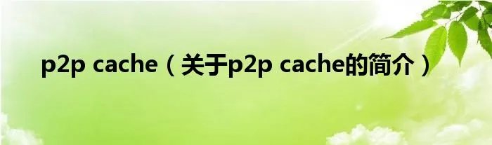 p2p cache（关于p2p cache的简介）