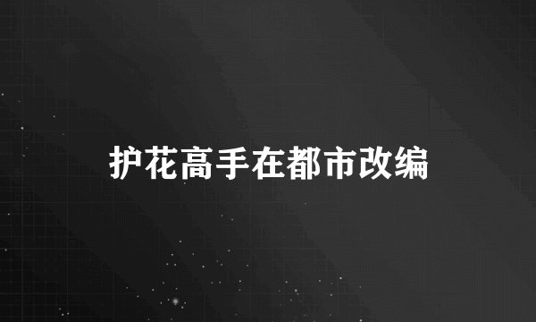 护花高手在都市改编