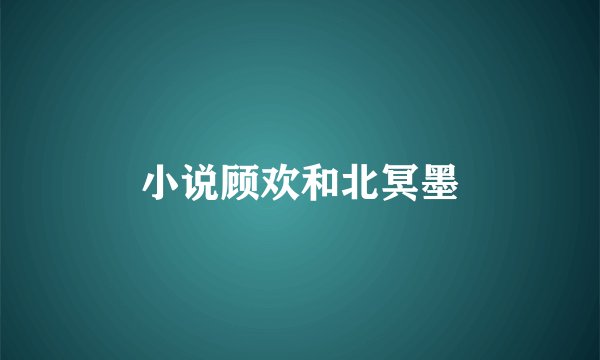 小说顾欢和北冥墨