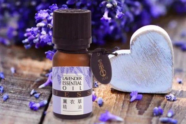 薰衣草精油的使用方法与主要作用