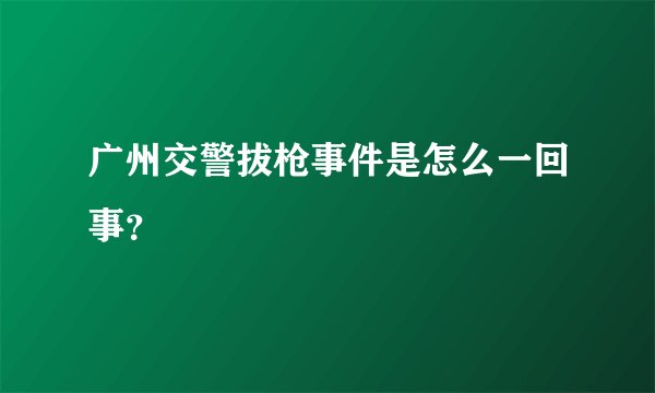 广州交警拔枪事件是怎么一回事？