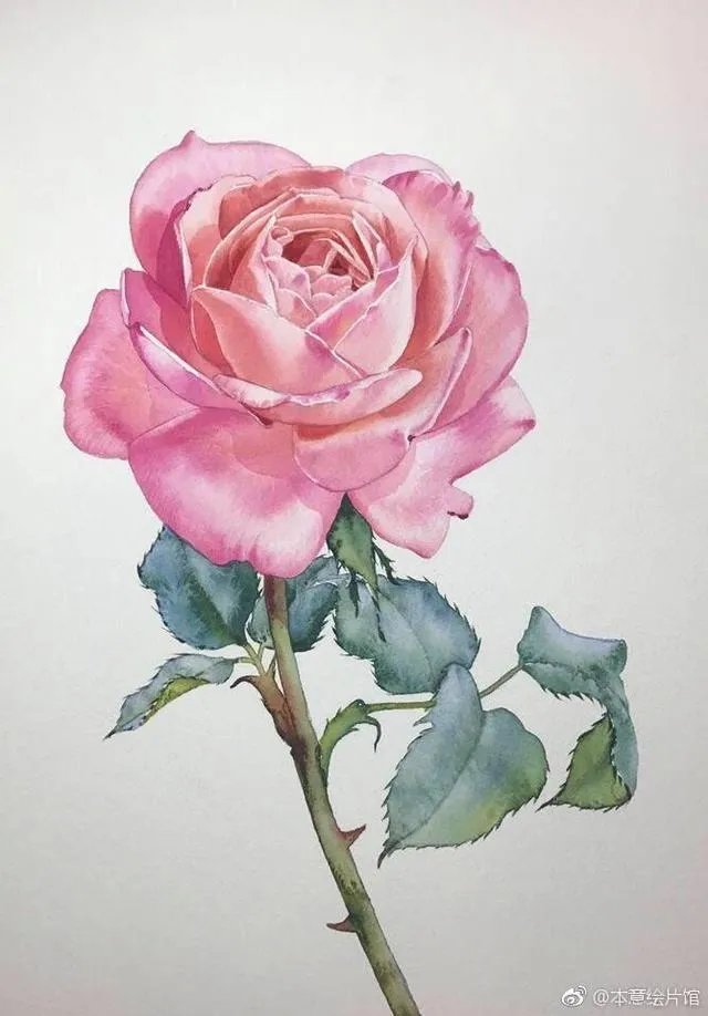 有没有粉色系头像？