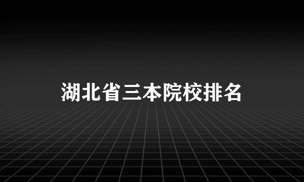 湖北省三本院校排名