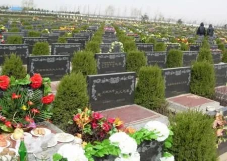 建议全面取消经营性公墓，这么做有必要吗？