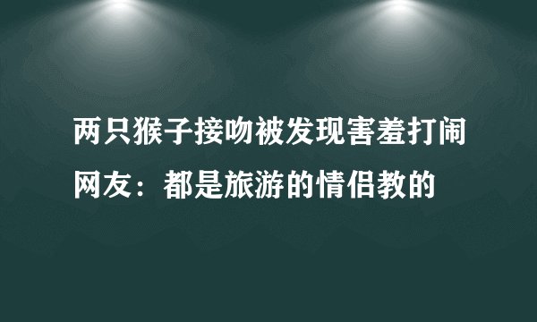 两只猴子接吻被发现害羞打闹网友：都是旅游的情侣教的
