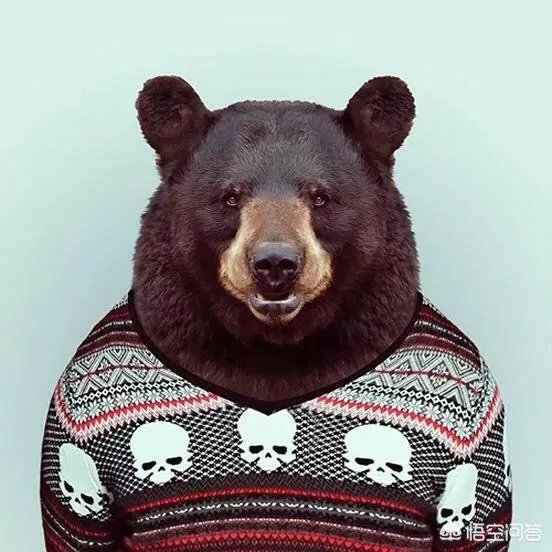 你有哪些喜欢的句子想要分享吗？