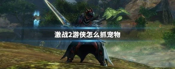 激战2游侠怎么抓宠物