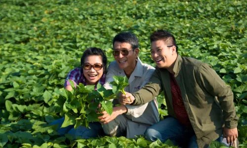 上海周边二日游有哪些路线值得推荐？