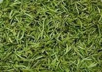 十一黄山旅游攻略