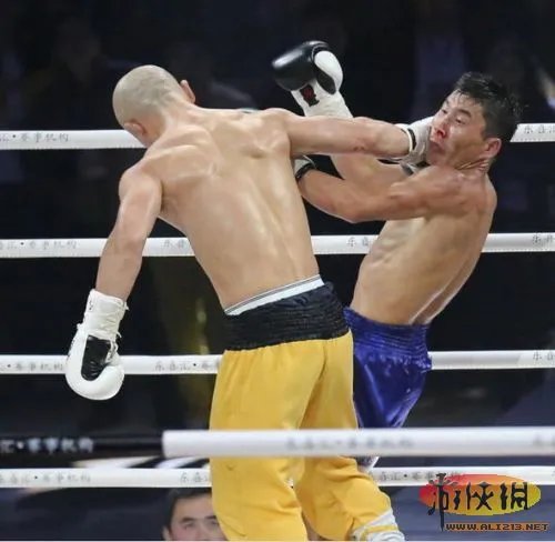传奇武僧一龙狂殴日本拳王 网友大赞霍元甲附身