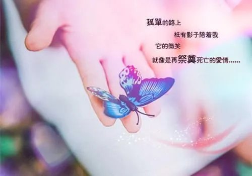 599132江梦娴连羲皖 599132江梦娴全文阅读