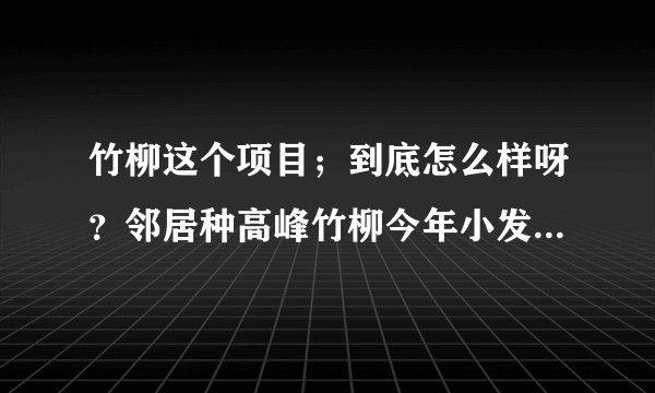 竹柳这个项目；到底怎么样呀？邻居种高峰竹柳今年小发一笔；他让我引种；我有点小犹豫！