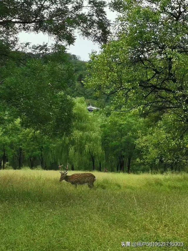 承德避暑山庄好玩吗？值得一去不？