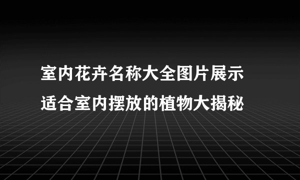 室内花卉名称大全图片展示 适合室内摆放的植物大揭秘